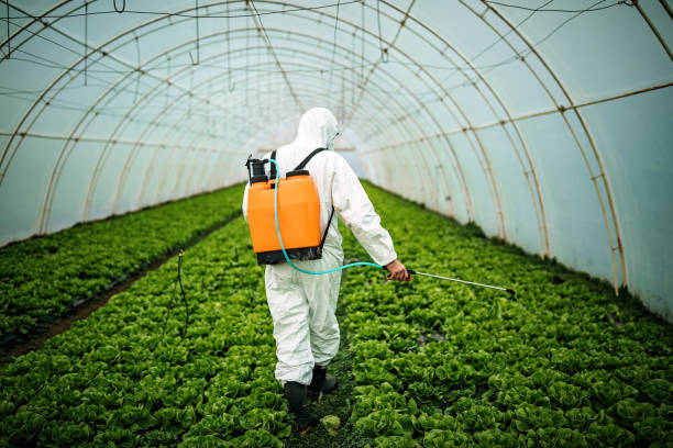 Best Pest Control Cost  in South Carthage, TN