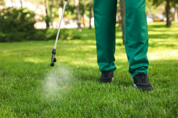 Best Local Pest Control Services  in South Carthage, TN