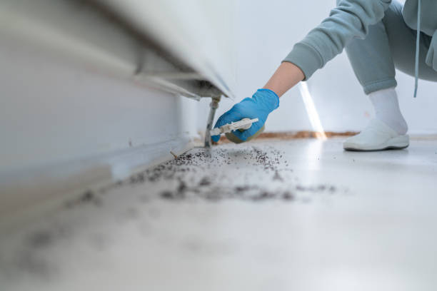 Best Cockroach Control Services  in South Carthage, TN