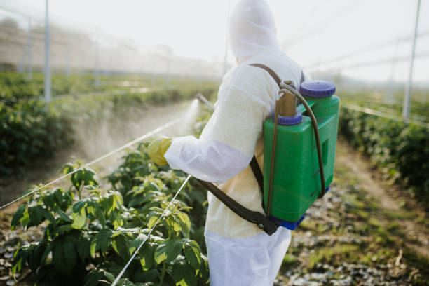 Best Affordable Pest Control Services  in South Carthage, TN